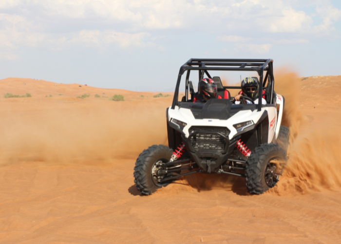 2 Seat RZR Buggy