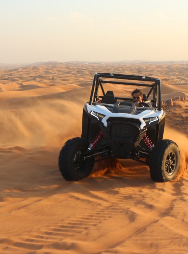 Polaris-2 Seater