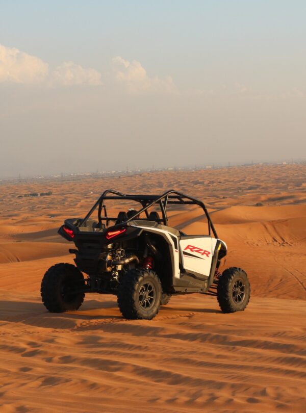 Polaris-(2 Seater)