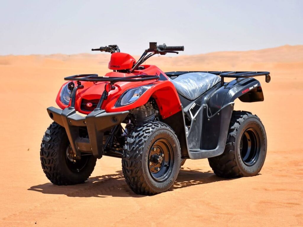 Double-(Bike