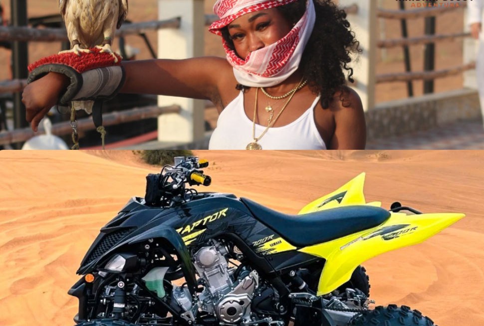 Quad Bike Tour Abu Hail Dubai